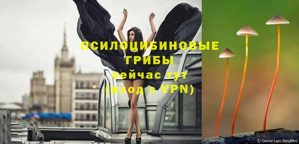 spice Новозыбков
