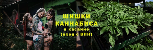 spice Новозыбков